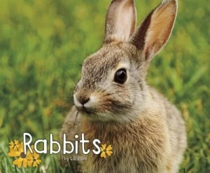 Image of Rabbits by G. G Lake