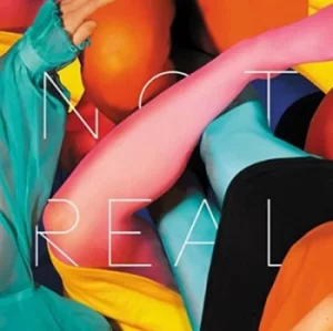 Image of Not Real by Stealing Sheep CD Album