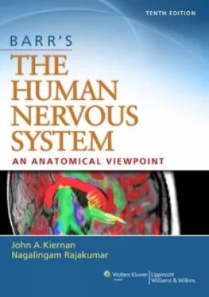 Image of Barrs the human nervous system by J. A. Kiernan