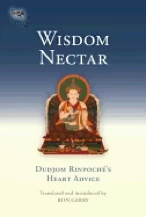 Image of wisdom nectar dudjom rinpoches heart advice