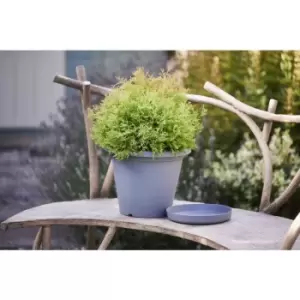 Clever Pots Charcoal Coloured Round Plant Pot 20cm - Garden & Outdoor