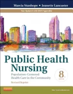 Image of public health nursing population centered health care in the community