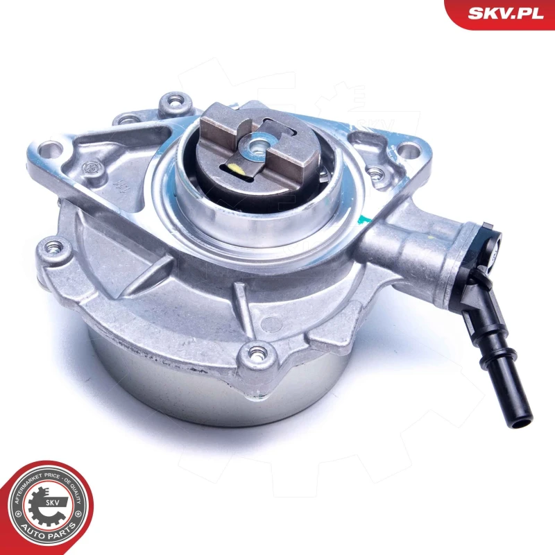 Image of ESEN SKV Brake vacuum pump ESEN SKV 18SKV051