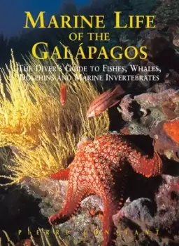 Image of Marine life of the Galpagos by Pierre Constant