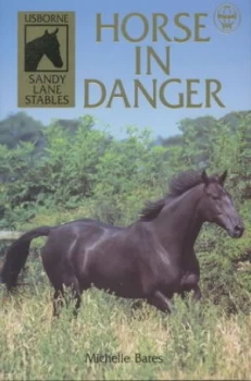 Image of Horse in Danger by Michelle Bates Book