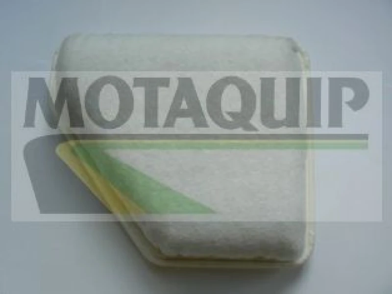 Image of MOTAQUIP Air filter MOTAQUIP VFA1208