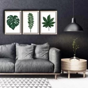 Image of 3PKCT-012 Multicolor Decorative Framed MDF Painting (3 Pieces)