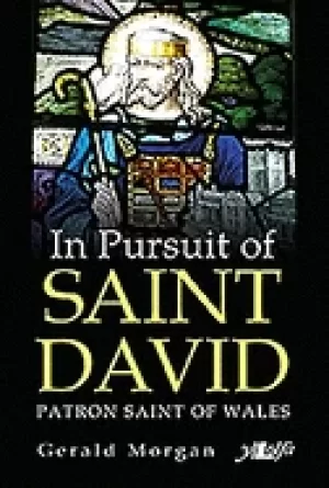 Image of in pursuit of saint david
