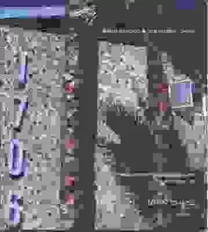 Image of Glitter stucco & dumpster diving by John Chase