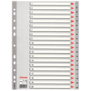 image of Esselte 100107 A4 Plastic Dividers Grey with 20 Tabs (11 holes)