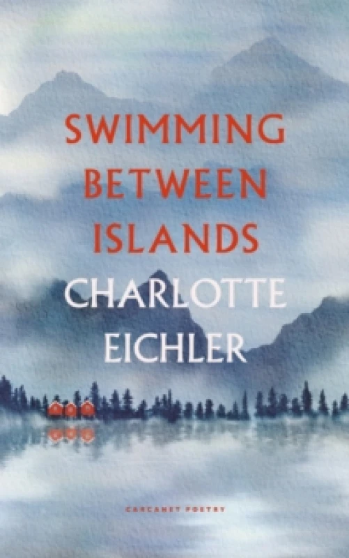 Image of Swimming Between Islands Paperback / softback