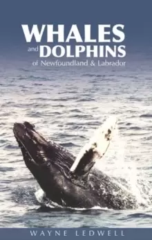 Image of Whales & Dolphins of Newfoundland & Labrador
