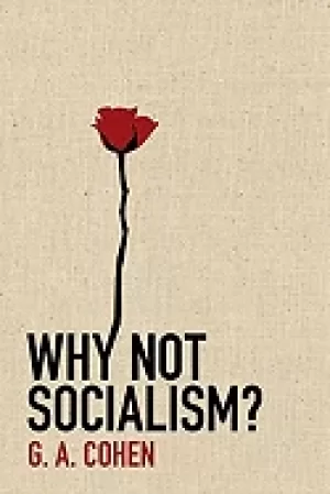 Image of why not socialism