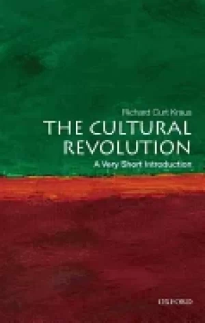 Image of cultural revolution a very short introduction