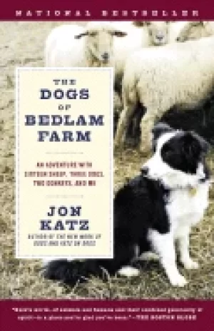 Image of dogs of bedlam farm an adventure with sixteen sheep three dogs two donkeys