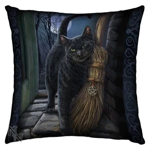 Image of Silk Finish A Brush With Magick Cushion