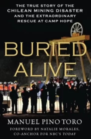 Image of Buried alive by Manuel Pino Toro