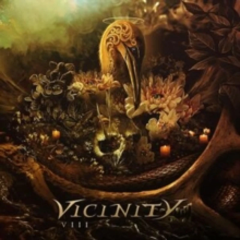 Image of Vicinity VIII (Vinyl) 12 Album