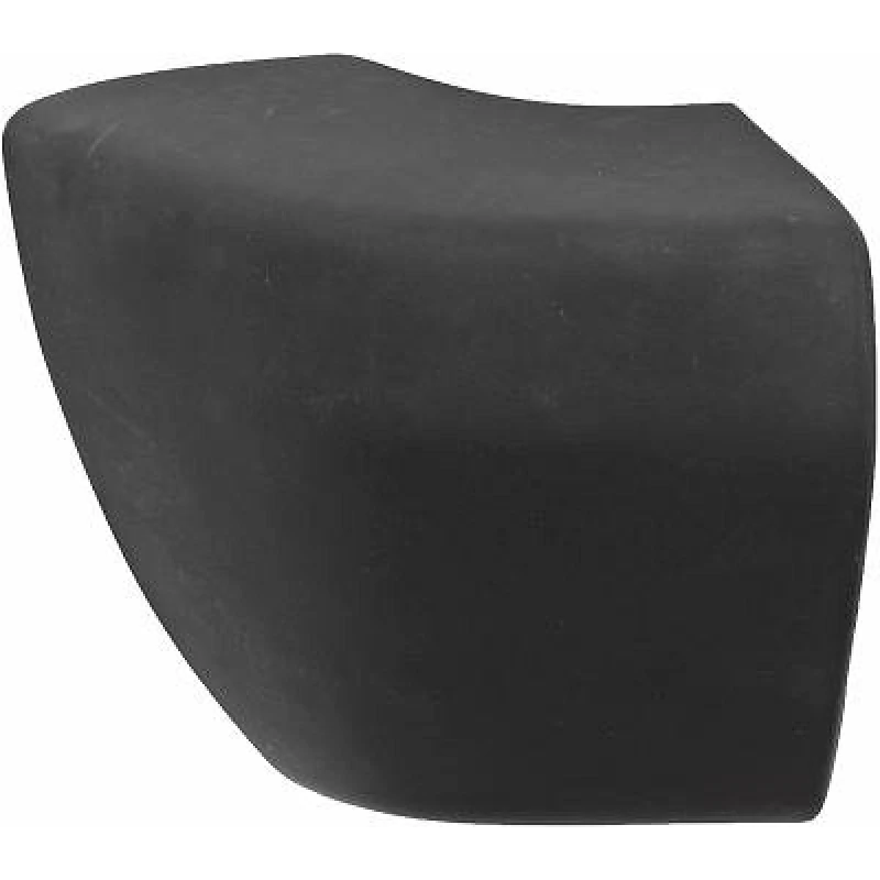 Image of Bumper DIEDERICHS 1695052