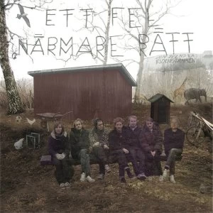 Image of Den Svenska Bj&ouml;rnstammen - Ett Fel N&auml;rmare R&auml;tt Vinyl