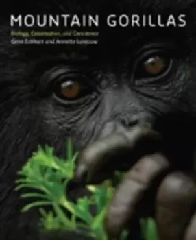 Image of Mountain gorillas by Gene Eckhart