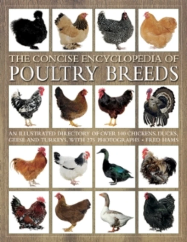 Image of Concise Encyclopedia of Poultry Breeds Paperback / softback