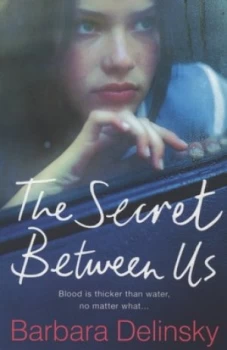 Image of The Secret between Us by Barbara Delinsky Book
