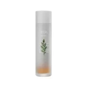 Image of MISSHA - Artemisia Calming Essence - 150ml (New Version of MISSHA - Time Revolution Artemisia Treatment Essence)