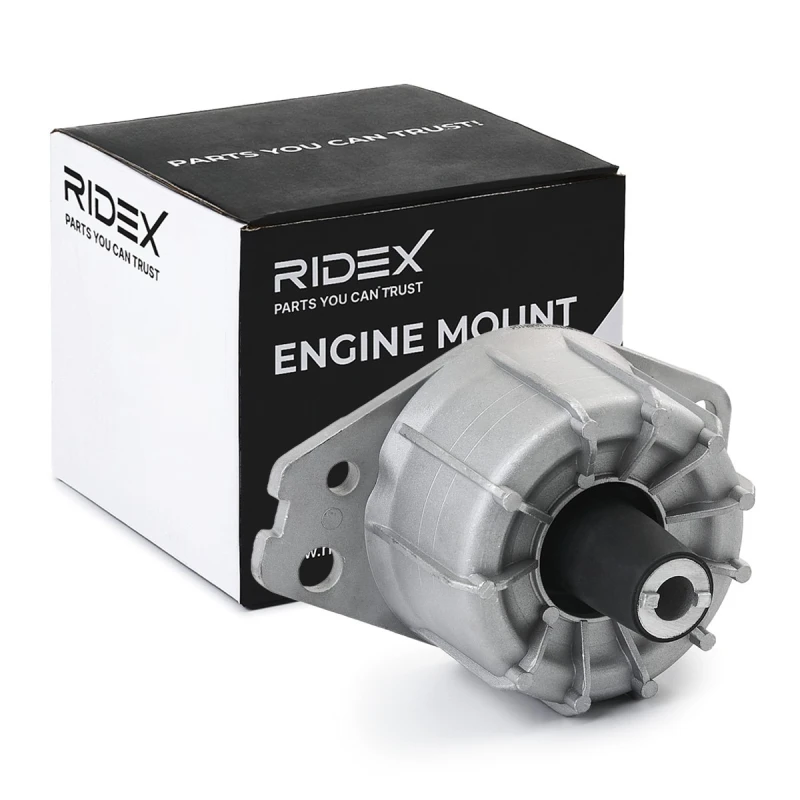 Image of Engine mount RIDEX 247E0197