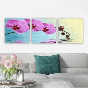 Image of P883027 Multicolor Decorative Canvas Painting (3 Pieces)