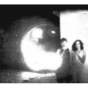 Image of Other Lives - Tamer Animals CD