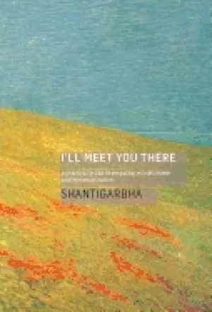 Image of ill meet you there a practical guide to empathy mindfulness and communicat