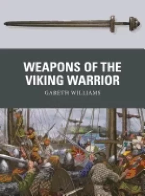 Image of weapons of the viking warrior