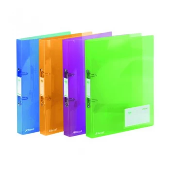 Image of Rexel Ice 2 Ring Binder PP 25mm A4 Assorted Pack of 10 2102044