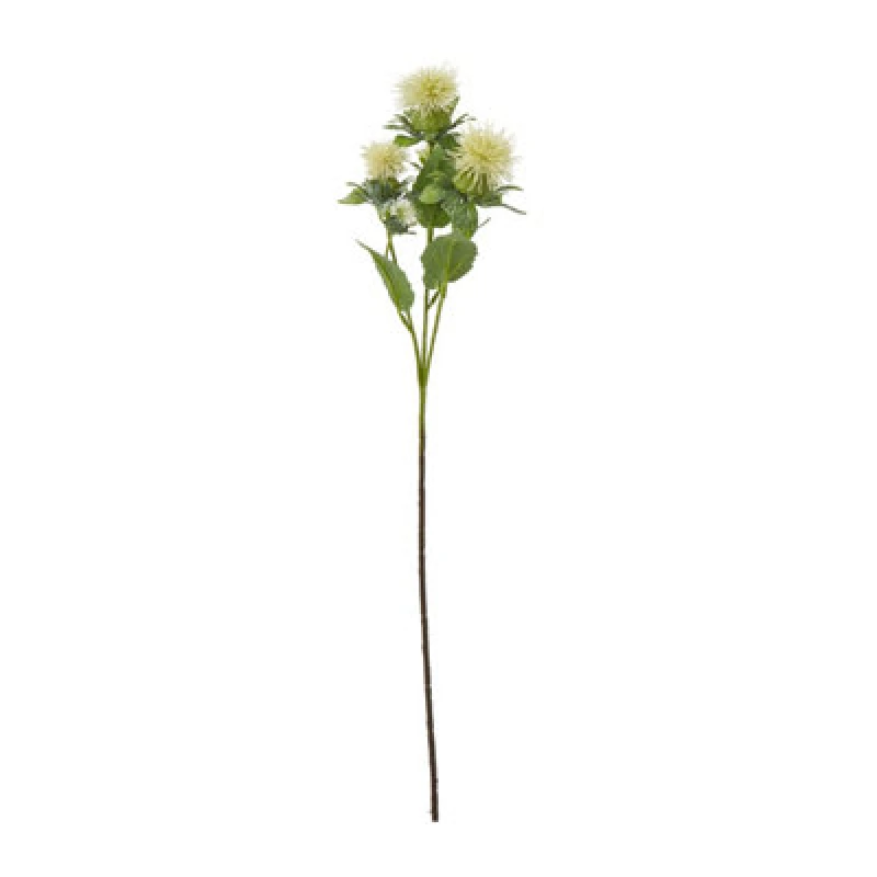 Image of Cream Safflower Spray
