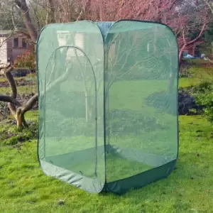 Image of Pop-Up Net Fruit Cage - 1.25m x 1.25m x 1.85m High