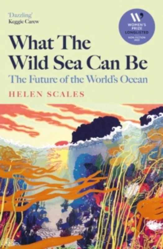 Image of What the Wild Sea Can Be : Shortlisted for the Womens Prize for Nonfiction Hardback