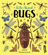 Image of life sized bugs