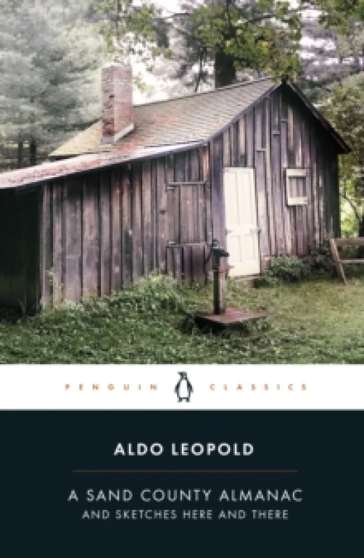 Image of A Sand County Almanac : And Sketches Here and There Paperback / softback