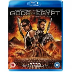 image of Gods of Egypt Bluray