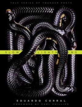 Image of Slow Lightning by Eduardo C. Corral Hardback