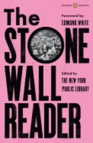 Image of stonewall reader