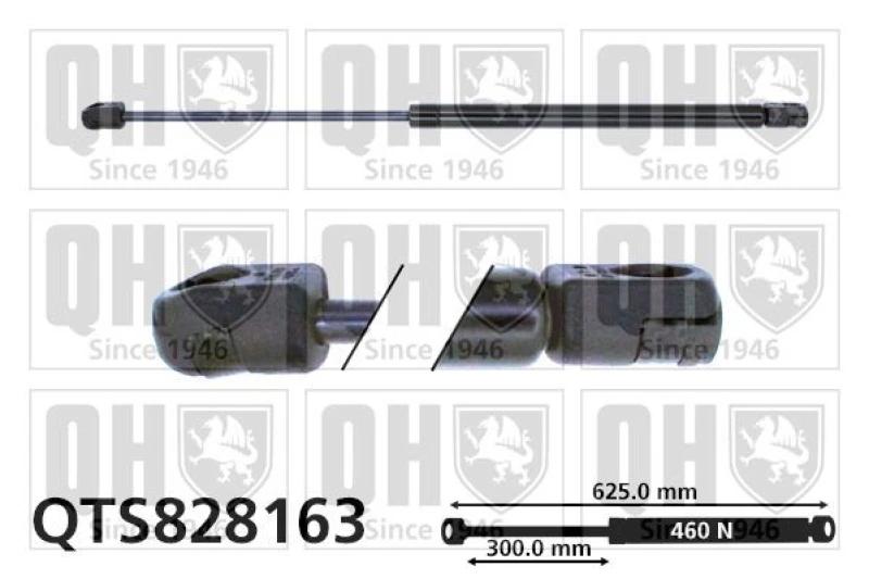 Image of QUINTON HAZELL Tailgate strut QUINTON HAZELL QTS828163
