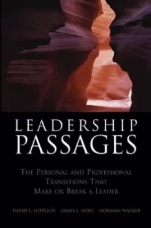 Image of Leadership passages by David L Dotlich