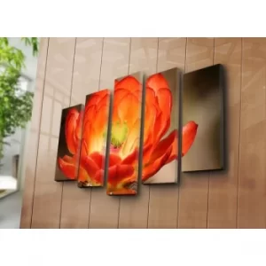 Image of 5NATPAT-12 Multicolor Decorative Canvas Painting (5 Pieces)