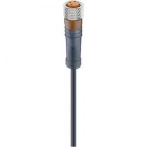 Image of Lumberg Automation 28383 RKMV 4 2252 M Actuator Sensor Connection Line M8 Socket Straight Black