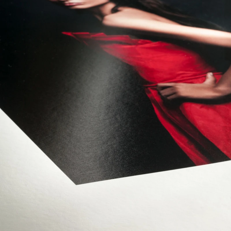 Image of Back to the Office Hahnemuhle FineArt Baryta Satin Art paper 10643533