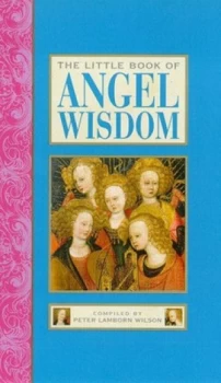 Image of The Little Book of Angel Wisdom by Peter Lamborn Wilson Hardback