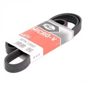 Image of GATES Poly V-Belt LAND ROVER,PEUGEOT,BMW 6PK1560 11281735190,11281735194,11287520072 Ribbed Belt,V Ribbed Belt,Multi V Belt,Poly Belt,V-Ribbed Belts