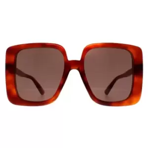 Image of Square Havana Brown GG1314S